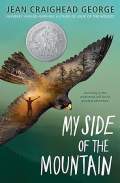6th Grdae reading