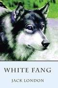 7th grade reading
